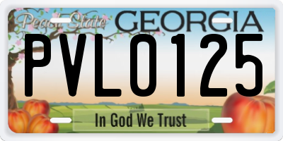 GA license plate PVL0125