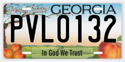 GA license plate PVL0132