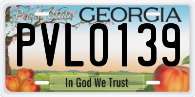 GA license plate PVL0139