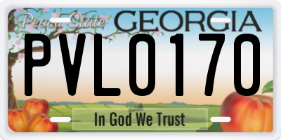 GA license plate PVL0170