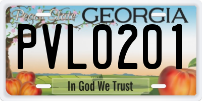 GA license plate PVL0201