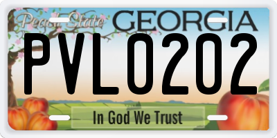 GA license plate PVL0202