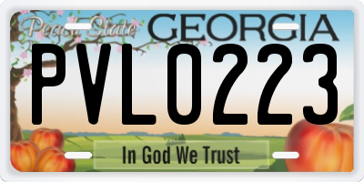 GA license plate PVL0223