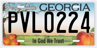 GA license plate PVL0224