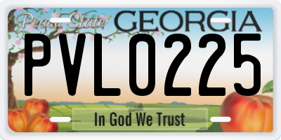 GA license plate PVL0225