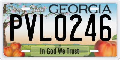 GA license plate PVL0246