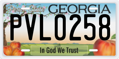 GA license plate PVL0258