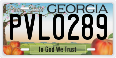 GA license plate PVL0289
