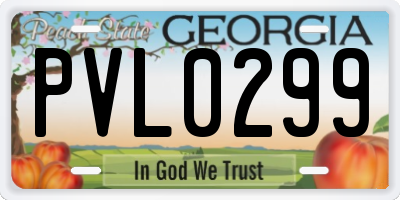 GA license plate PVL0299