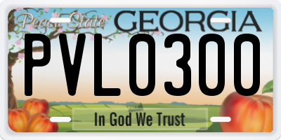 GA license plate PVL0300