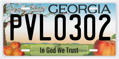 GA license plate PVL0302