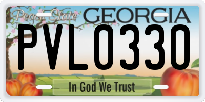 GA license plate PVL0330