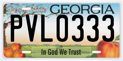 GA license plate PVL0333