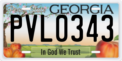 GA license plate PVL0343