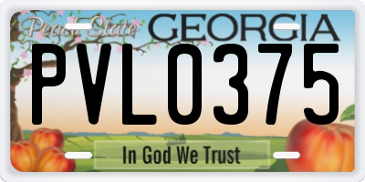 GA license plate PVL0375