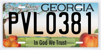 GA license plate PVL0381