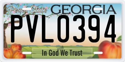 GA license plate PVL0394
