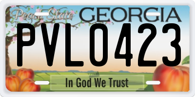 GA license plate PVL0423