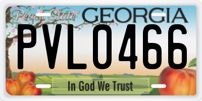 GA license plate PVL0466
