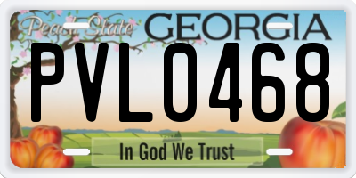 GA license plate PVL0468