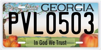 GA license plate PVL0503