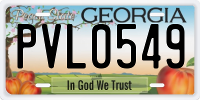 GA license plate PVL0549