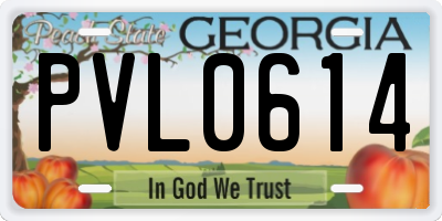 GA license plate PVL0614