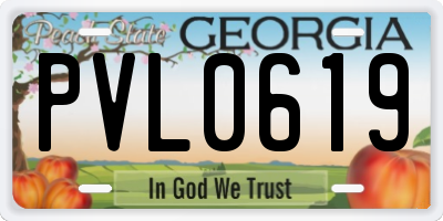 GA license plate PVL0619