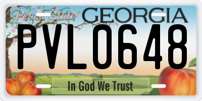 GA license plate PVL0648