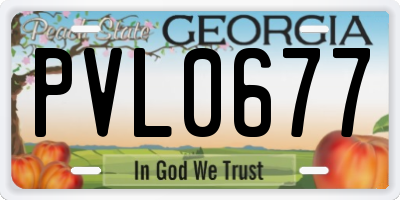 GA license plate PVL0677