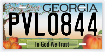 GA license plate PVL0844