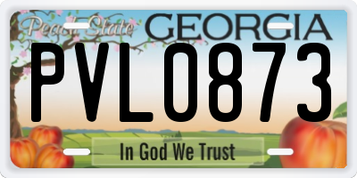 GA license plate PVL0873