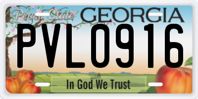 GA license plate PVL0916