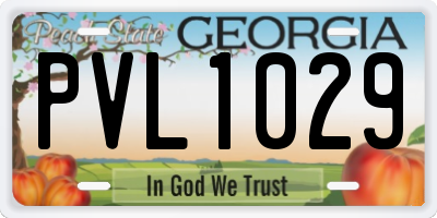 GA license plate PVL1029