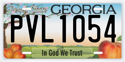GA license plate PVL1054