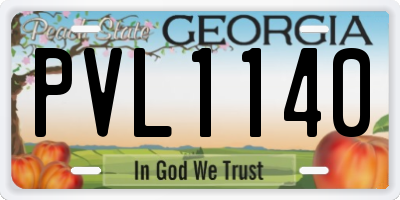 GA license plate PVL1140