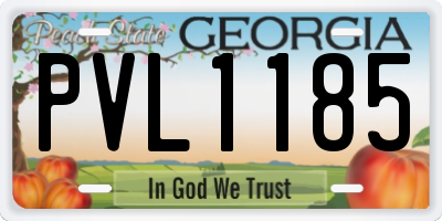 GA license plate PVL1185