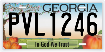 GA license plate PVL1246