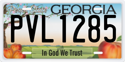 GA license plate PVL1285