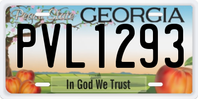 GA license plate PVL1293