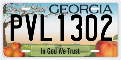 GA license plate PVL1302
