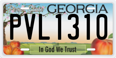 GA license plate PVL1310