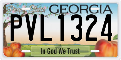 GA license plate PVL1324