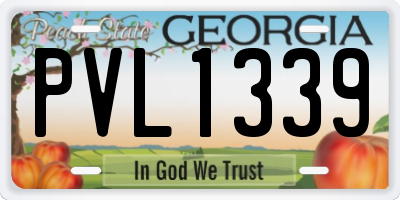GA license plate PVL1339
