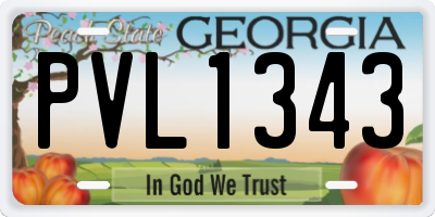 GA license plate PVL1343