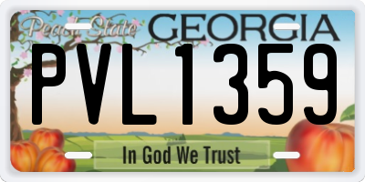 GA license plate PVL1359