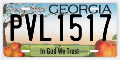 GA license plate PVL1517
