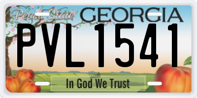GA license plate PVL1541