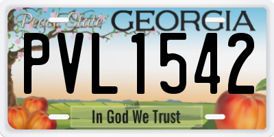 GA license plate PVL1542