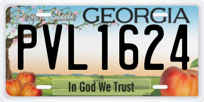 GA license plate PVL1624